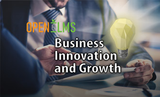 Business Innovation and Growth